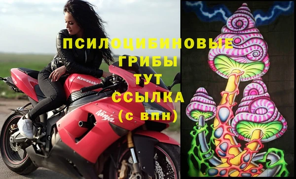 прущие крисы Осинники