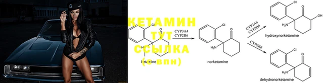 прущие крисы Осинники
