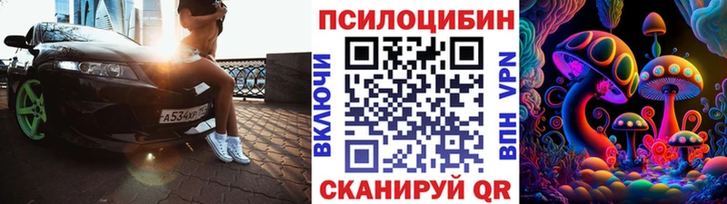 Галлюциногенные грибы Psilocybe  Брянск 