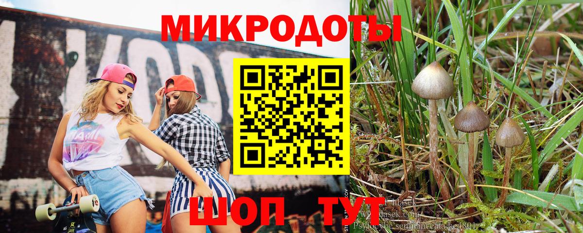 Галлюциногенные грибы GOLDEN TEACHER Брянск