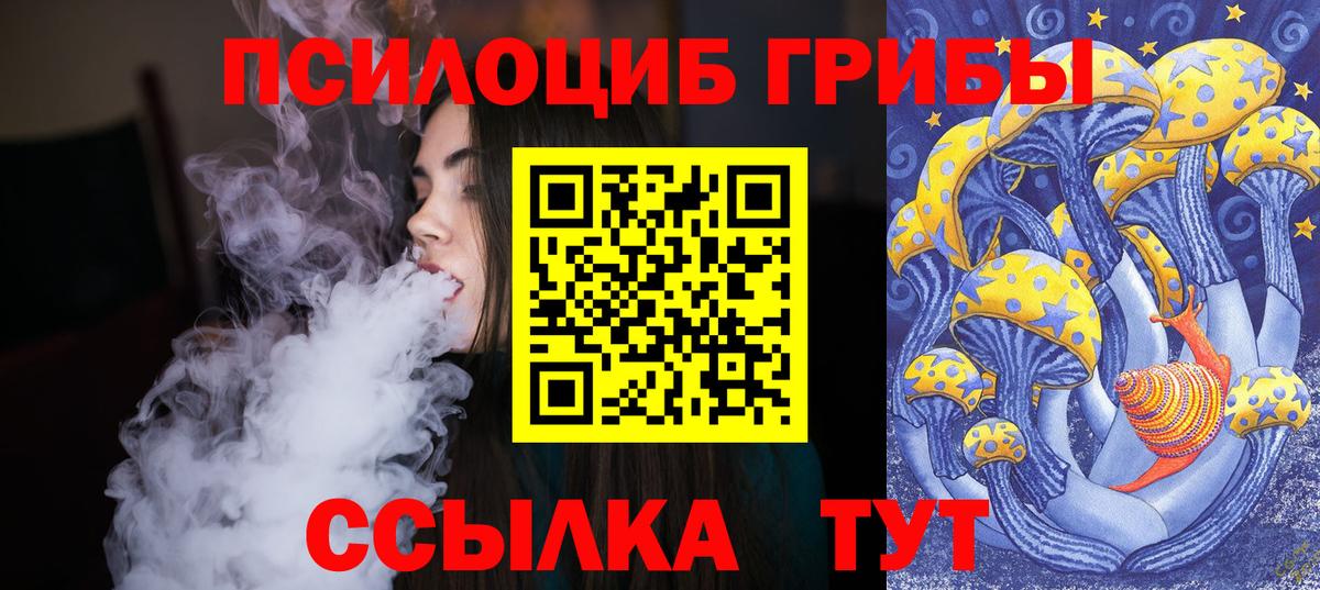 Брянск  Псилоцибиновые грибы MAGIC MUSHROOMS  Вход с VPN 