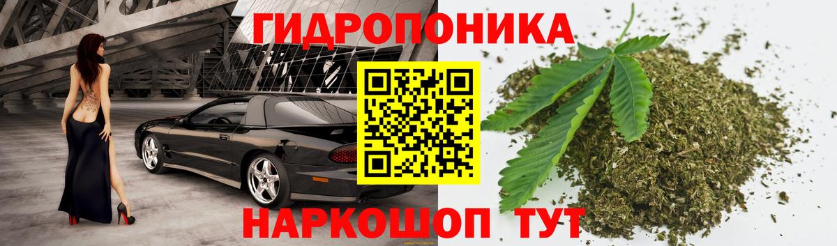 Марихуана THC 21%  Бошки марихуана конопля  Шишки марихуана AK-47  Брянск  Каннабис SATIVA & INDICA  Вход с VPN 